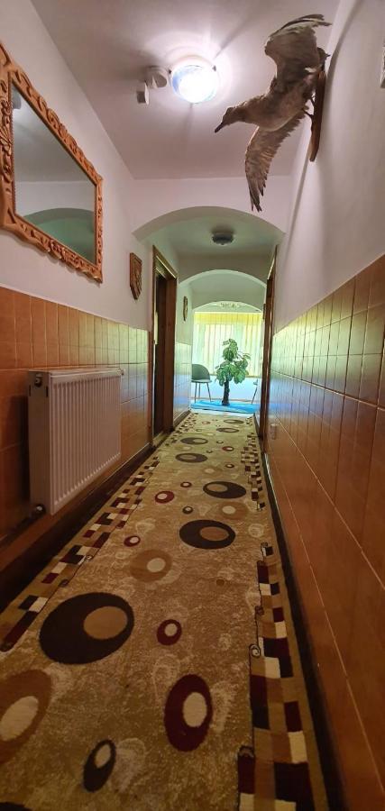 Casa Cristian Villa Campulung Moldovenesc Bagian luar foto