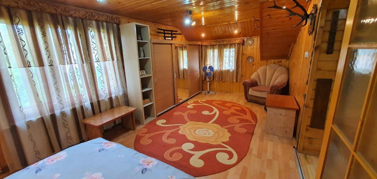 Casa Cristian Villa Campulung Moldovenesc Bagian luar foto