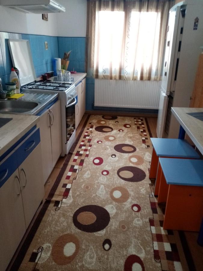 Casa Cristian Villa Campulung Moldovenesc Bagian luar foto